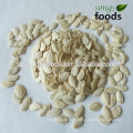 pumpkinseeds insell